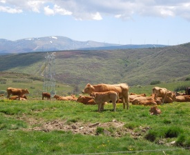 June 2013 Outside Foncebadon